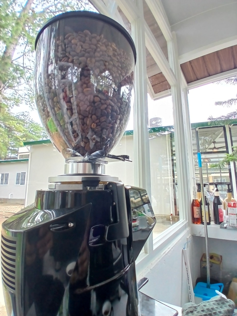 フィリピン留学 Cebu21 - A&J ECO CAMPUS-Cafeteria-18